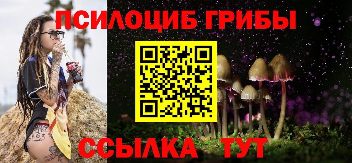 Псилоцибиновые грибы Cubensis  Вход с VPN  Кандалакша 